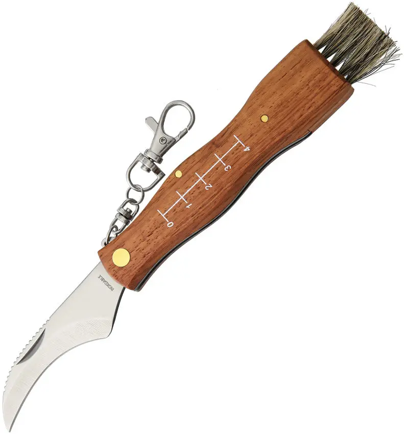 Mam Mushroom Foraging Knife – Silver-Ringed Handle With Sheath (2591) 1