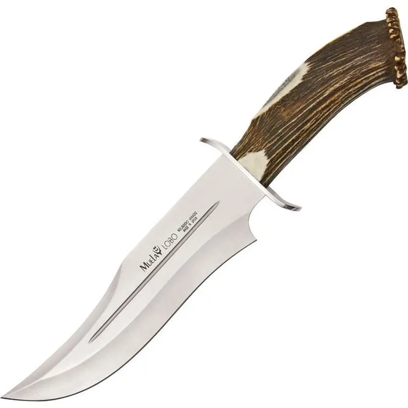 Muela Lobo Stag-Bolster Bowie Knife Ci23S 1